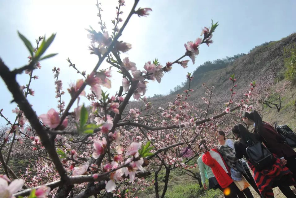 制帽廠員工